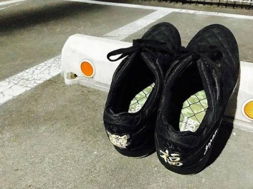 17年04月15日：画像６