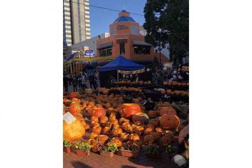 店舗からのお知らせのイベントなう