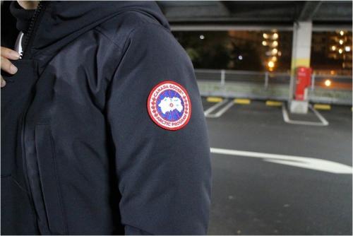 カナダグースのジャスパー