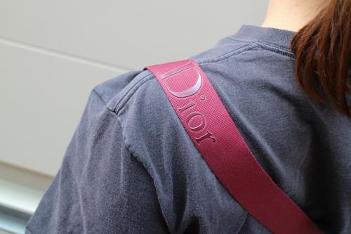 ショルダーバッグのレディース