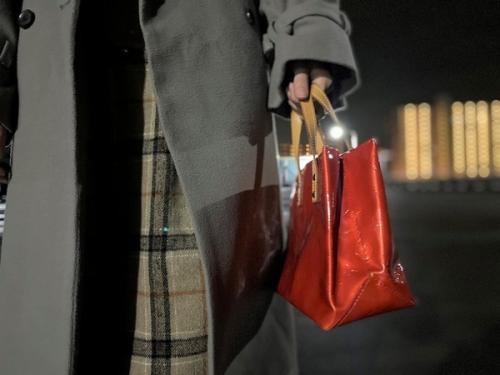 ハンドバッグのレディース