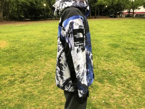 シュプリーム×ザ・ノースフェイスのMOUNTAIN PARKA