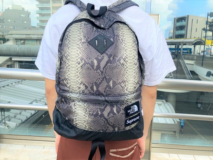 Supreme north face snakeskin day pack