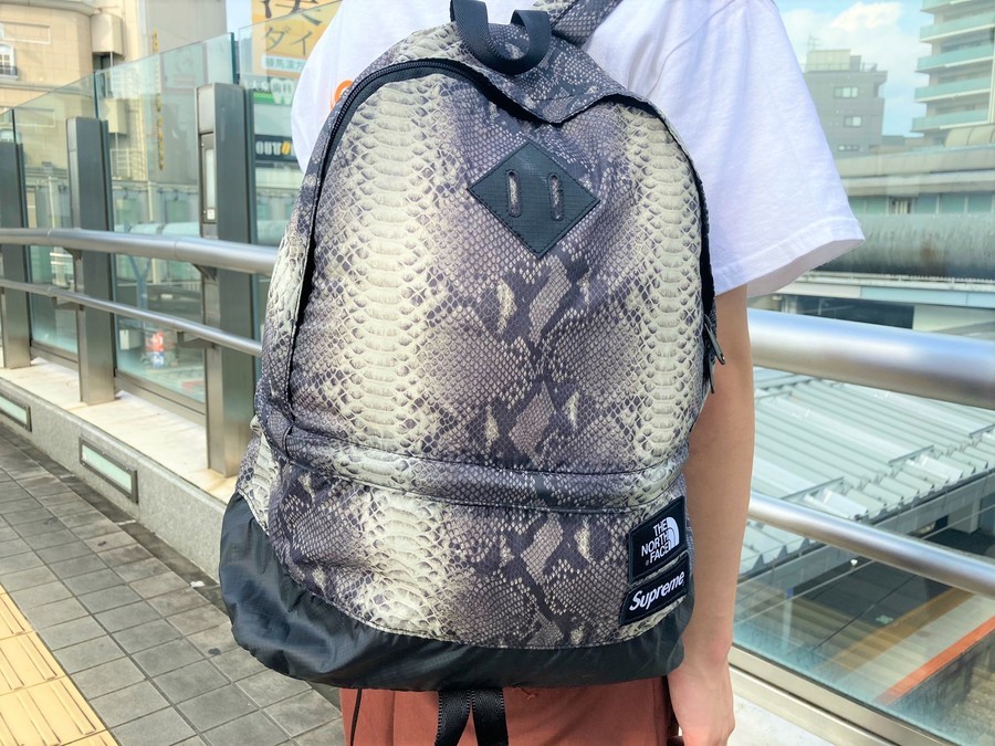 Supreme The North Face Snakeskin DayPack