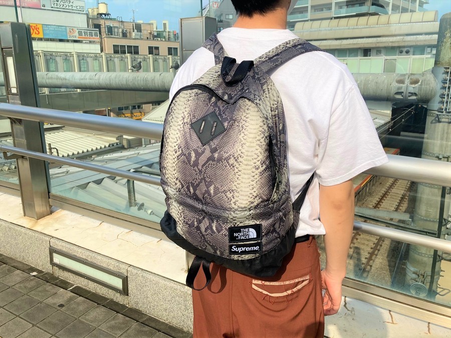 Supreme The North Face Snakeskin DayPack