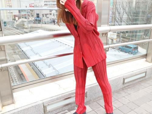 プリーツのセットアップ