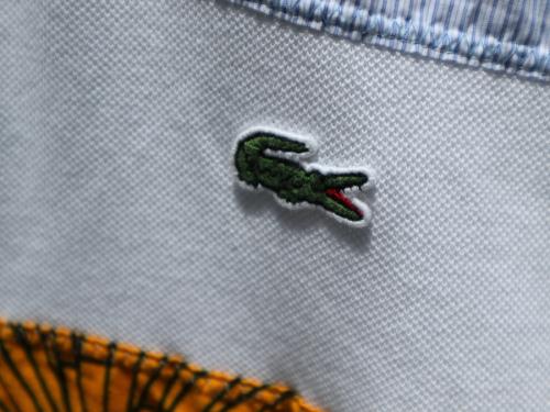 20年05月05日：画像６