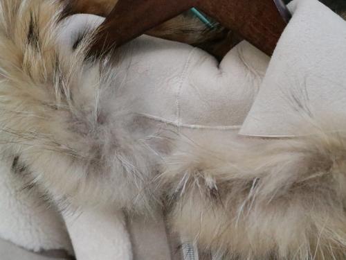 1STアニバーサリームートンフードコートの11102-0161