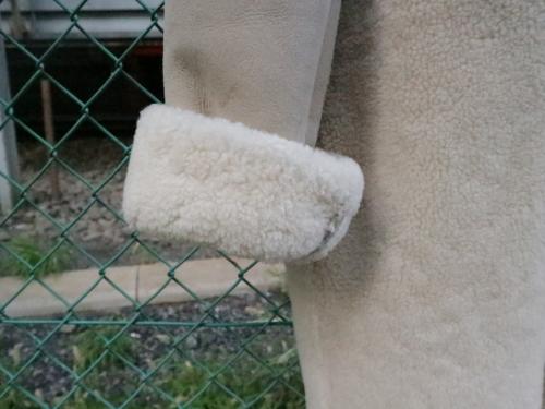 20年09月08日：画像６