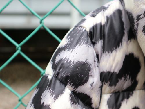 20年11月12日：画像６