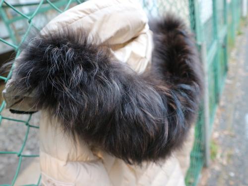 20年12月22日：画像７