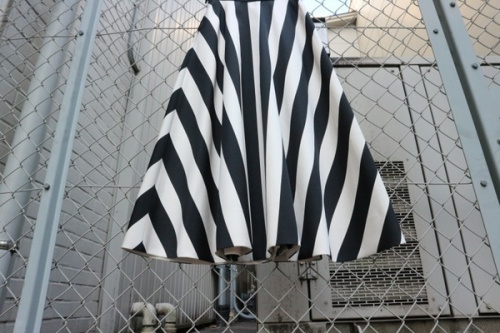 ストライプスカートのレディース