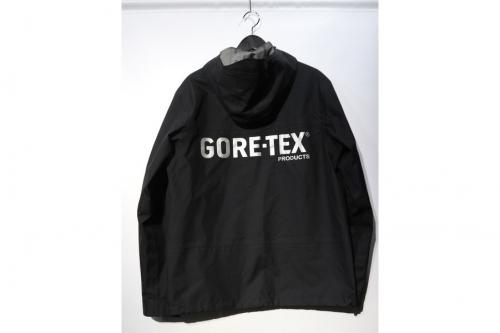ステューシーのGORE-TEX Products Mountain Parka