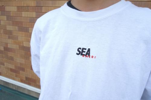 送料無料 通販 激安 sea×ameri and wind photo VINTAGE 新品（Ameri L SIZE tee Tシャツ(半袖/袖なし)