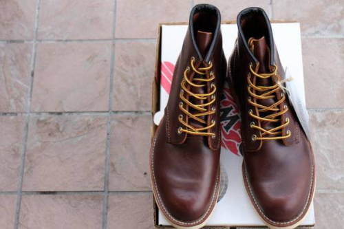 17年04月06日：画像７