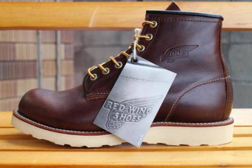 17年04月06日：画像９