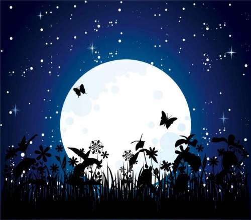 ミナペルホネンのマリメッコ