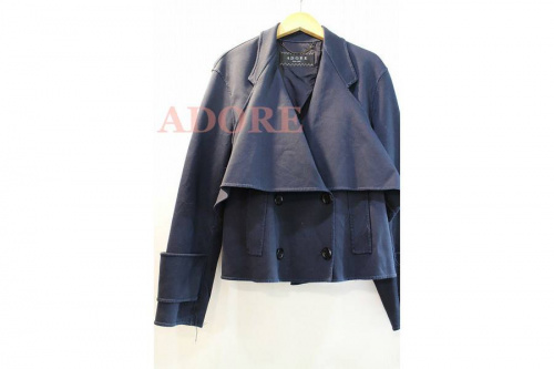 アドーアのtheory