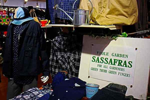 ササフラスの高価買取