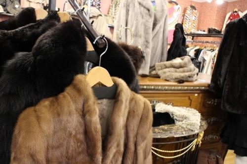 19年11月12日：画像６