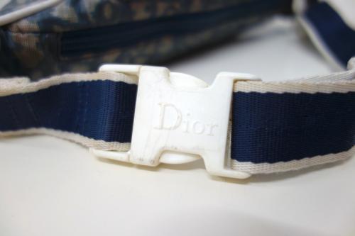 ウエストポーチのトロッター