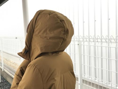 デサントオルテライン×ミズサワダウンの水沢ダウン