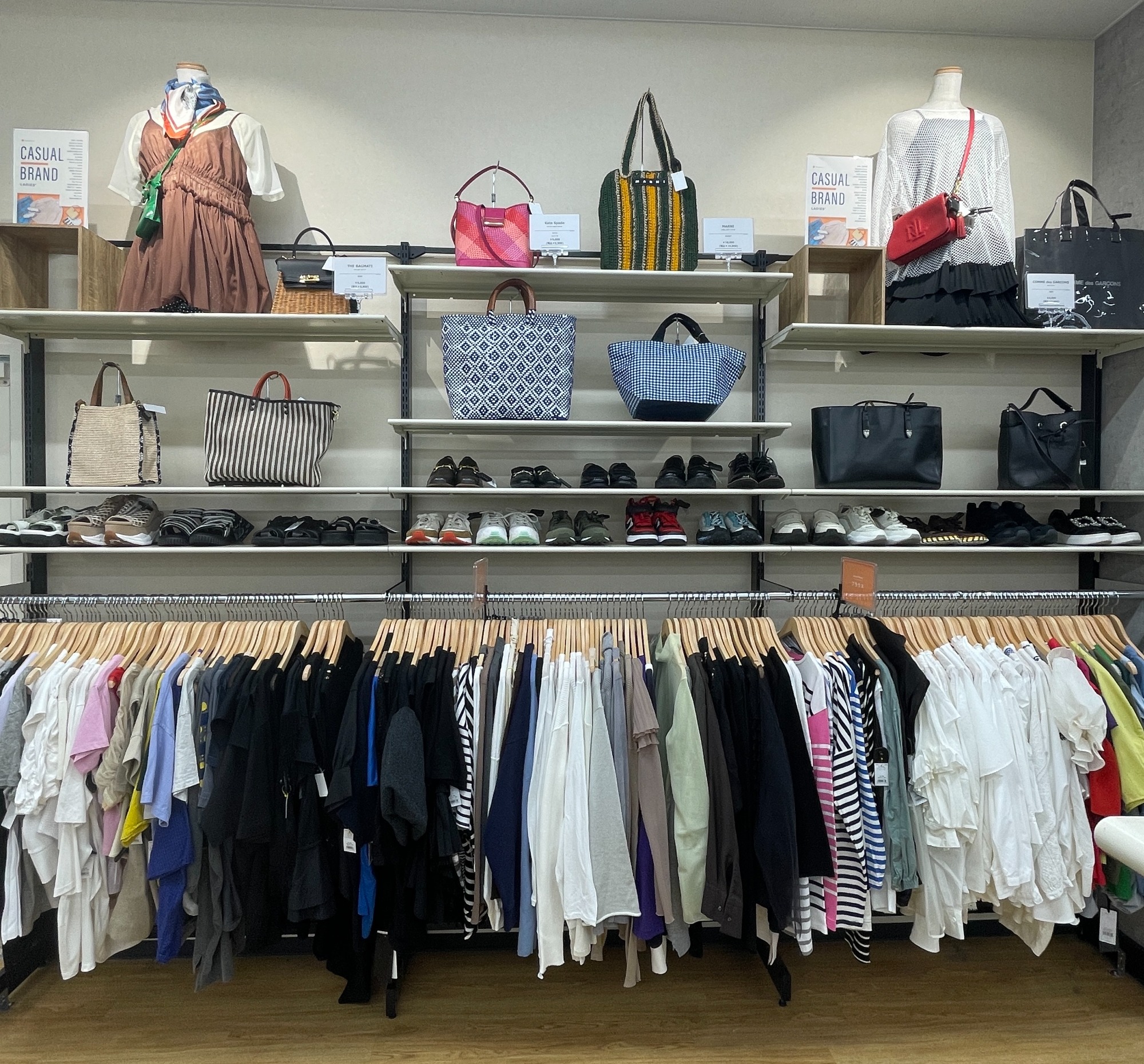 7/19(土)NEW OPEN！ 店内レディースカジュアル紹介！[2025.07.13発行