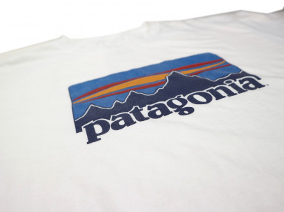 「レアアイテムのPatagonia 」