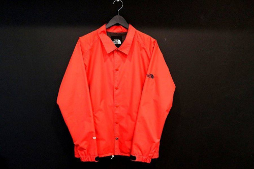 レアアイテムのTHE NORTH FACE