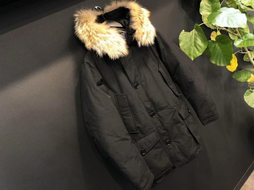 買取入荷のインポートブランド