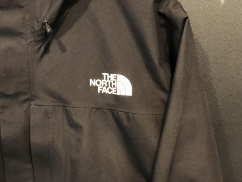 THE NORTH FACE(ザノースフェイス)のダウン