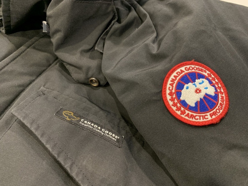 買取入荷のカナダグース