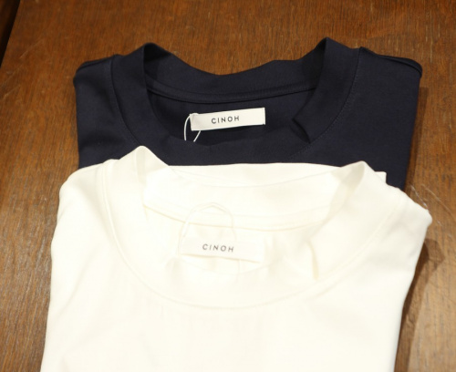 チノのTシャツ