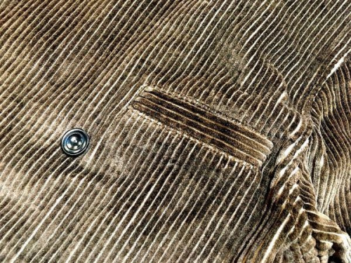 ブレインのコーデュロイ