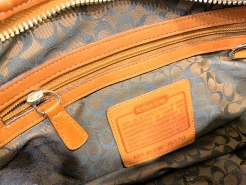 20年01月24日：画像６