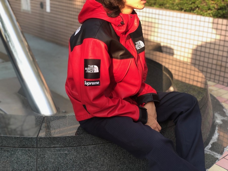 supreme north face mountain jacket red M