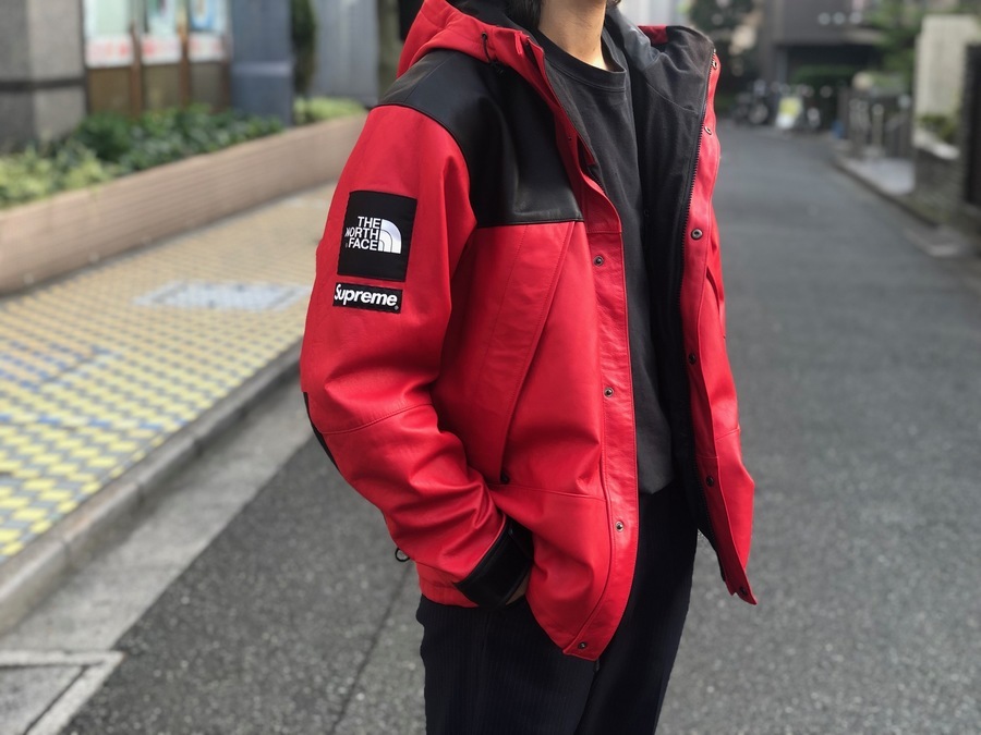 Supreme × The North Face Leather Mountai