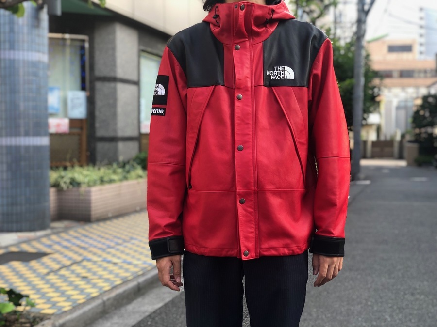 Supreme The North Face Leather Mounta