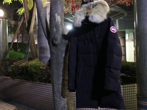 インポートブランドのダウン
