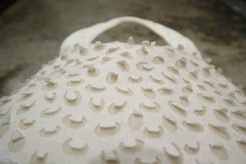 19年03月09日：画像６