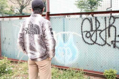 ストリートブランドのSupreme　× The North Face