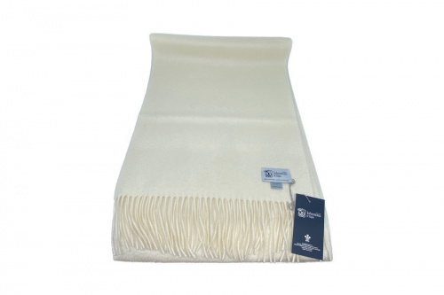 トレファクスタイル茅ヶ崎店ブログ画像5