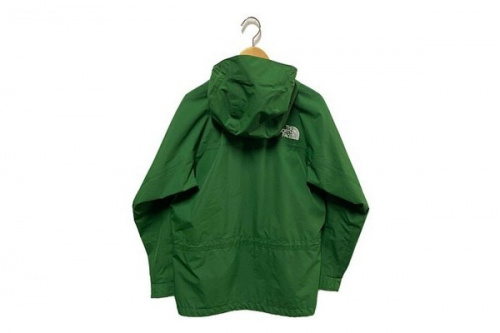 ザノースフェイスのMountain Light Parka