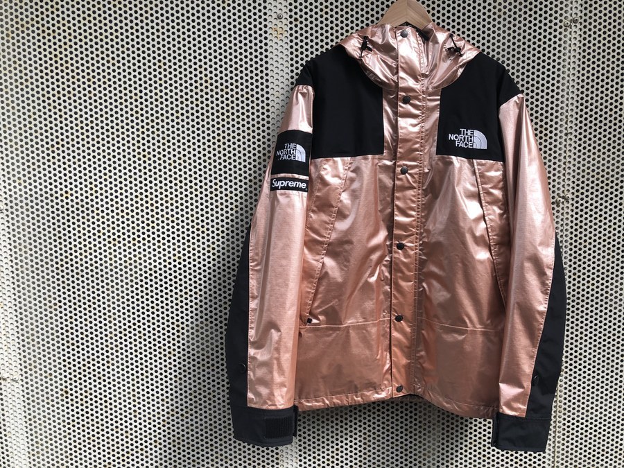 supreme TNF metallic mountain parka