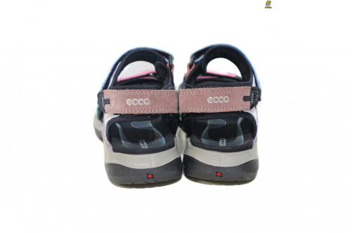 ECCOのエコー