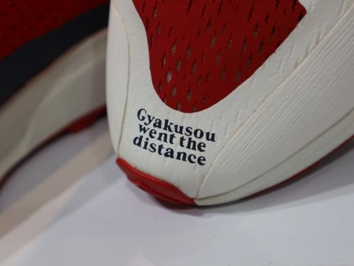 ZOOM PEGASUS 36 TRAILのGYAKUSOU