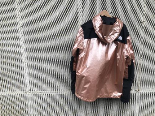 THE NORTH FACE×Supremeのザノースフェイス×シュプリーム