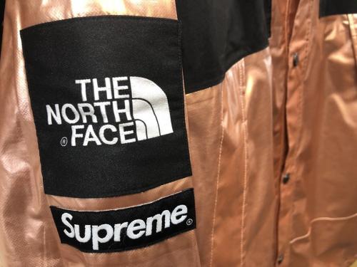 ザノースフェイス×シュプリームのMetallic Mountain Parka/メタリックマウンテンパーカー