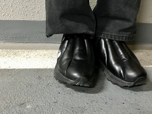 Nuptse Peel Goreの買取入荷　