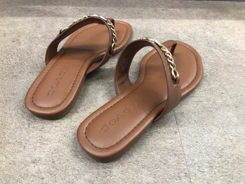 コーチの夏　八王子